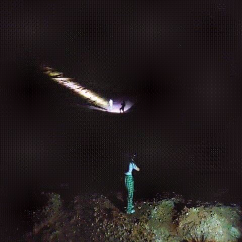 Durability demonstration