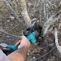 Portable Chainsaw cutting a branch in action