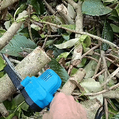 Portable Chainsaw cutting through dense branches